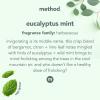 imageMethod Bathroom Cleaner Removes Mold  Mildew Stains Eucalyptus Mint 28 Fl Oz28 Fl Oz Pack of 8