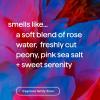 imageMethod Body Wash Coco Twist Coconut Milk  Avocado  Macadamia notes 18ozPure Peace