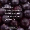 imageMethod Body Wash Daily Zen Paraben and Phthalate Free 18 oz Pack of 6Berry Balance