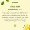 imageMethod Foaming Hand Soap Lemon Mint Biodegradable Formula 10 fl oz Pack of 3Lemon Mint