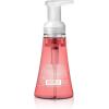 imageMethod Foaming Hand Soap Pink Grapefruit 10 Fl Oz Biodegradable Formula Pack of 330 Fl Oz Pack of 1