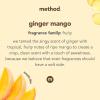 imageMethod Liquid Laundry Detergent Ginger Mango Scent PlantBased Stain Remover 66 Loads per 535 fl oz bottle 4 Pack 264 Total Loads Packaging May Vary
