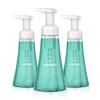 imageMethod Foaming Hand Soap Waterfall Biodegradable Formula 10 fl oz Pack of 310 Fl Oz Pack of 3