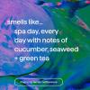 imageBundle of Method Wind Down Body Wash 18 oz Pack of 1  Method Daily Zen Everyday Shampoo 14 oz Pack of 1  Method Daily Zen Everyday Conditioner 135 oz Pack of 1