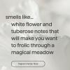 imageMethod Dream Foam Foaming Body Wash Jasmine  Sandalwood 135 ozWhite Flower  Tuberose