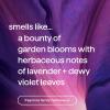 imageMethod Foaming Hand Soap Refill Violet  Lavender Biodegradable Formula 28 Fl Oz Pack of 1 Packaging May Vary28 Fl Oz Pack of 1