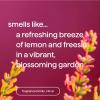 imageMethod Foaming Hand Wash Lemon  Freesia 10 fl oz 3 pack