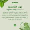 imageMethod Hardwood Floor Cleaner Squirt  Mop Design Use as Laminate or Sealed Wood Floor Cleaner Almond Scent 25 Fl Oz 6 Pack Packaging May VaryMint