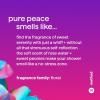 imageMethod Moisturizing Conditioner Simply Nourish with Shea Butter Coconut and Rice Milk Scent Notes Paraben and Sulfate Free 135 oz Pack of 3Conditioner