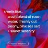 imageMethod Moisturizing Conditioner Simply Nourish with Shea Butter Coconut and Rice Milk Scent Notes Paraben and Sulfate Free 135 oz Pack of 3Shampoo