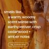 imageMethod Premium Soy Candle Vetiver  Amber 2 Wick Recyclable Jar Up to 50 Hours Burn Time 14 ozVetiver  Amber