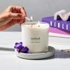 imageMethod Premium Soy Candle Vetiver  Amber 2 Wick Recyclable Jar Up to 50 Hours Burn Time 14 ozViolet  Lavender