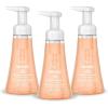 imageMethod Foaming Hand Wash Sandalwood  Cedar 10 fl oz 3 pack