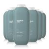 imageMethod Men Body Wash Glacier  Granite Paraben and Phthalate Free 18 FL Oz Pack of 6Sea  Surf