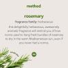 imageMethod Gel Hand Wash Rosemary Biodegradable Formula 115 fl oz Pack of 6Rosemary